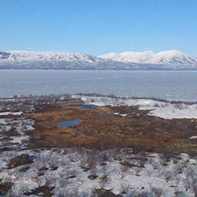 Frozen Lake Torneträsk, located next to the study site